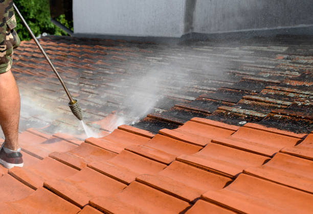Best Affordable Pressure Washing  in Westchester, FL